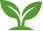 Icon Holistic Approach