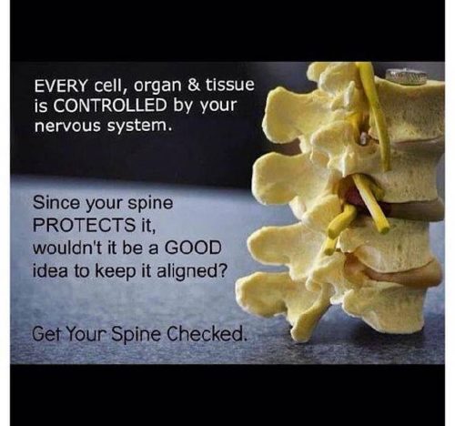 119-Chiropractor-Orange-CA