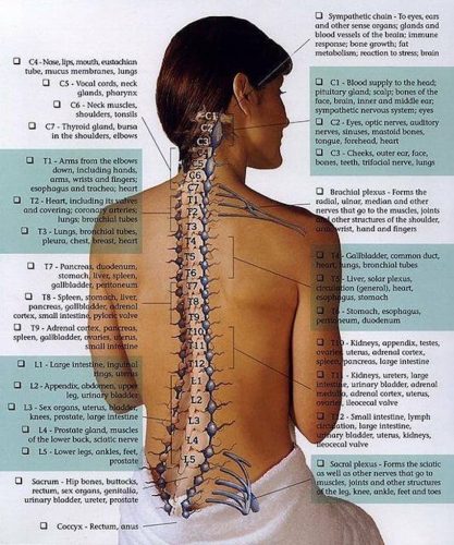 128-Chiropractor-Orange-CA