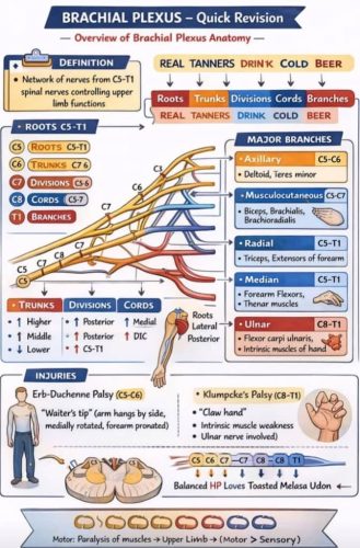 247-Chiropractor-Orange-CA
