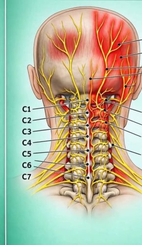 261-Chiropractor-Orange-CA