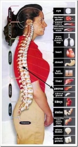 273-Chiropractor-Orange-CA