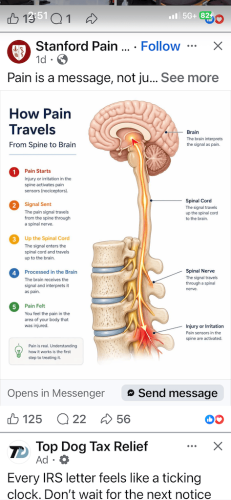 310-Chiropractor-Orange-CA
