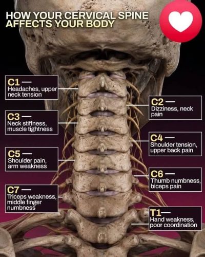 312-Chiropractor-Orange-CA