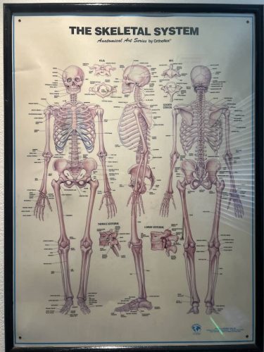 325-Chiropractor-Orange-CA