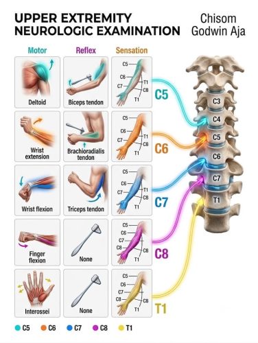 377-Chiropractor-Orange-CA