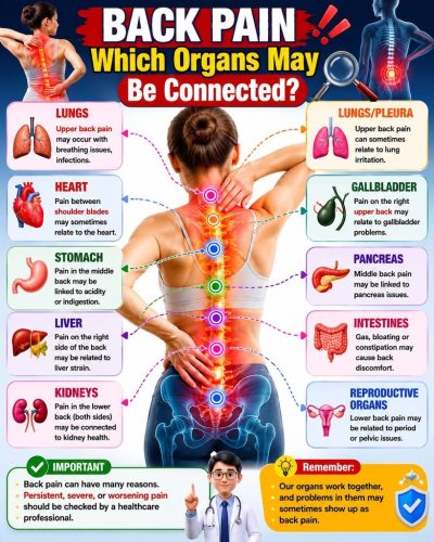378-Chiropractor-Orange-CA