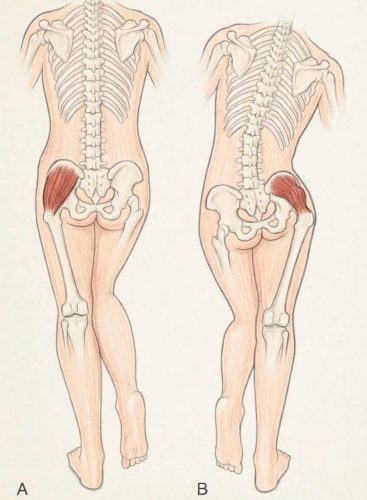 453-Chiropractor-Orange-CA