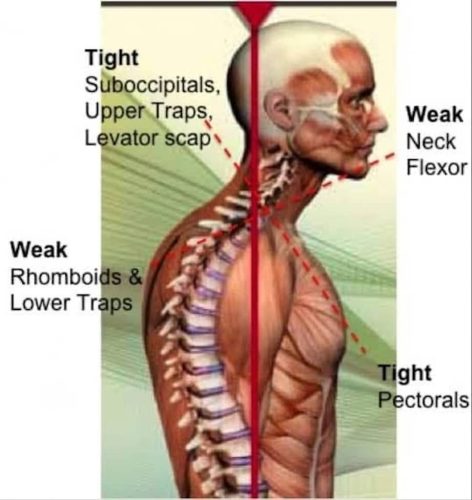60-Chiropractor-Orange-CA