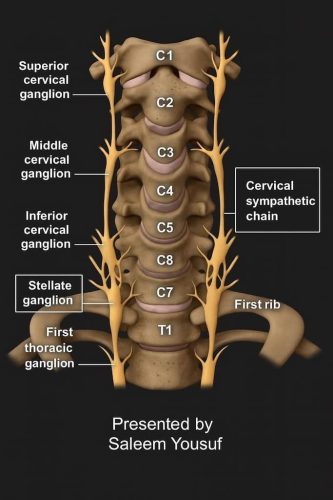 69-Chiropractor-Orange-CA